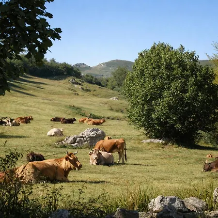 Cumbres De Lores Vakantiehuis *