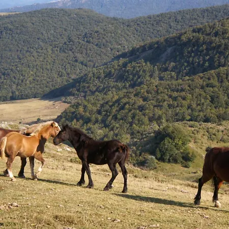 Cumbres De Lores